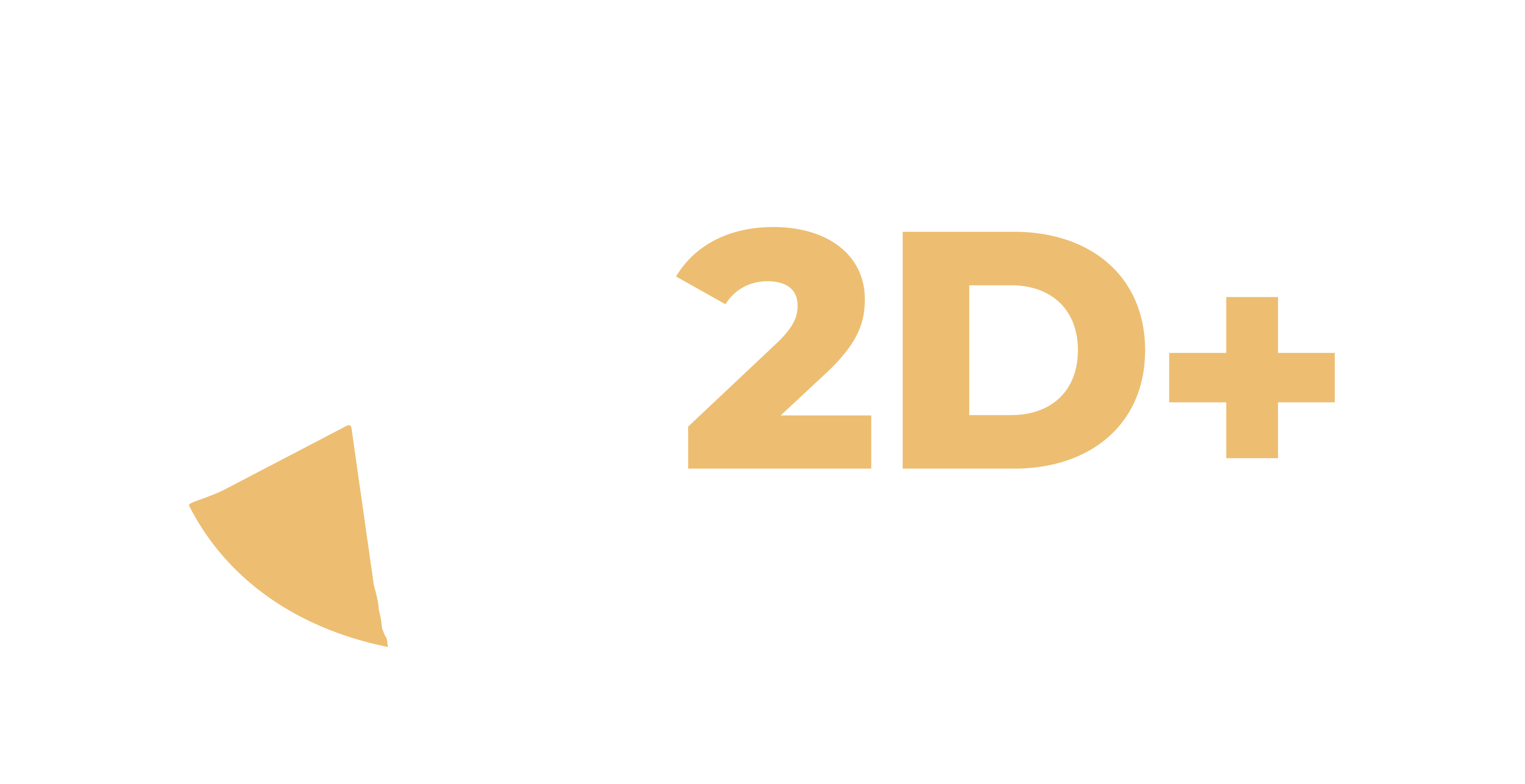 2D+ Formation